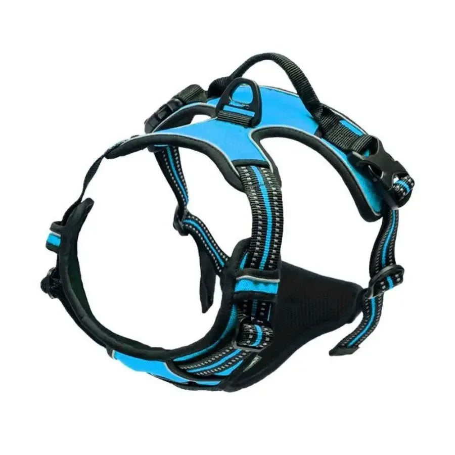 Dog Collars Harness Big Vests Leash Pet Shop Everything for Dogs Leather Puppy Accessories Medium Small Set - MeLife GloBazzar