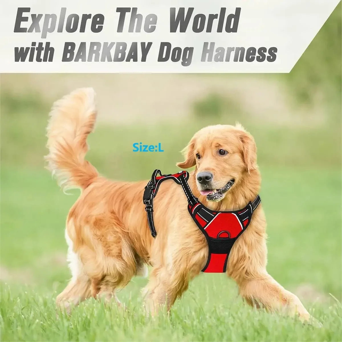 Dog Collars Harness Big Vests Leash Pet Shop Everything for Dogs Leather Puppy Accessories Medium Small Set - MeLife GloBazzar
