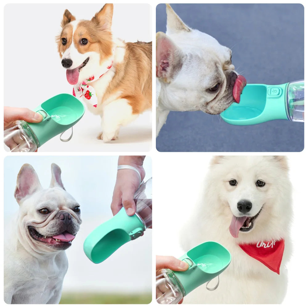 Portable Dog Water Bottle For Small Large Dogs Cat Outdoor Leakproof Walking Drinking Bowls Chihuahua French Bulldog Supplies - MeLife GloBazzar