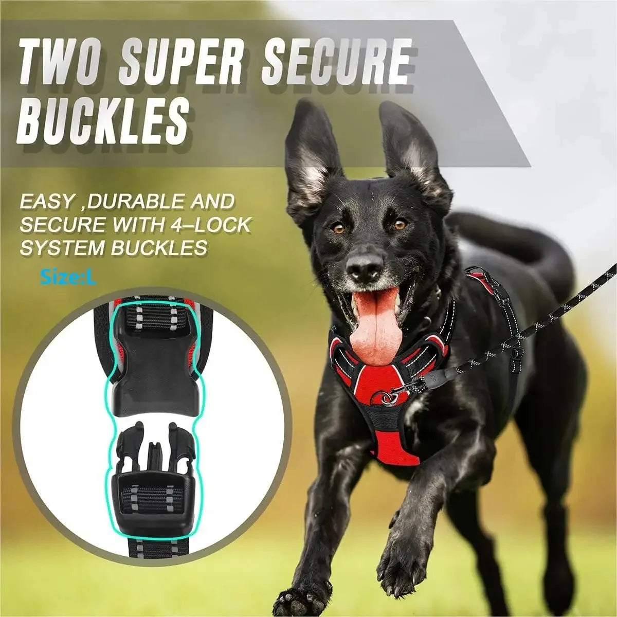 Dog Collars Harness Big Vests Leash Pet Shop Everything for Dogs Leather Puppy Accessories Medium Small Set - MeLife GloBazzar