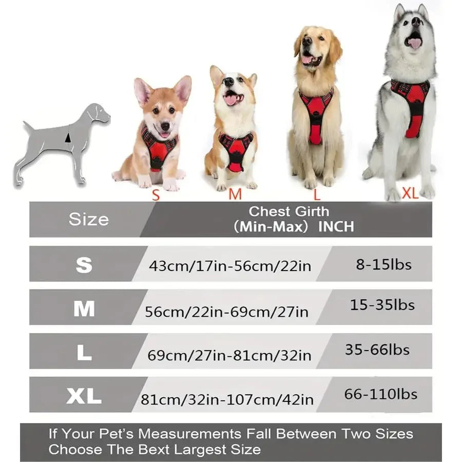 Dog Collars Harness Big Vests Leash Pet Shop Everything for Dogs Leather Puppy Accessories Medium Small Set - MeLife GloBazzar