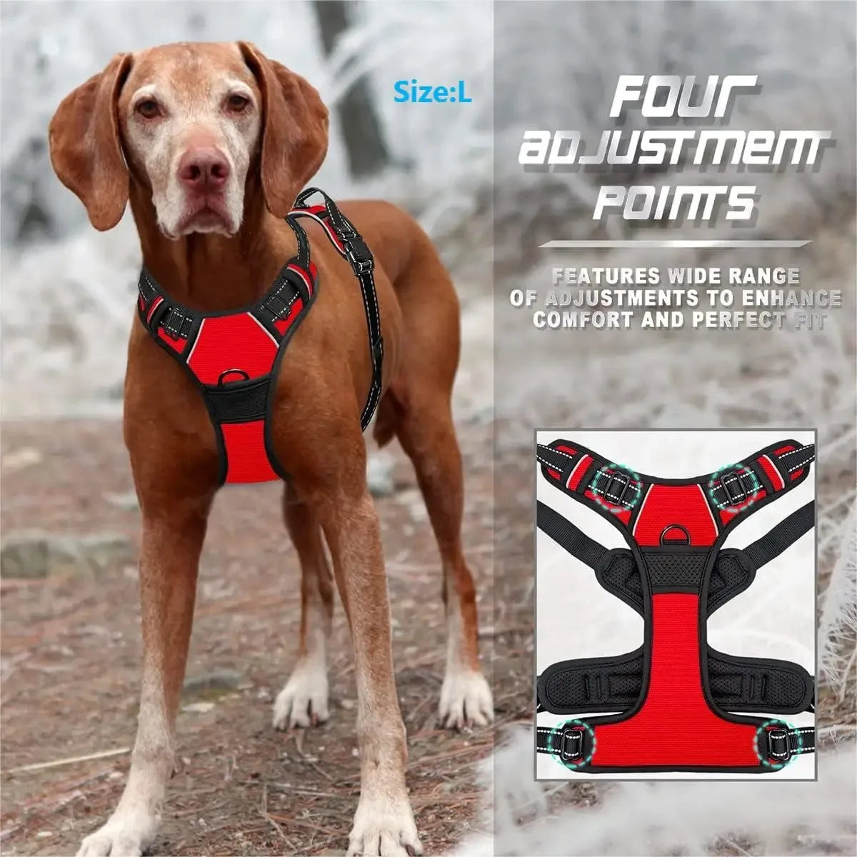 Dog Collars Harness Big Vests Leash Pet Shop Everything for Dogs Leather Puppy Accessories Medium Small Set - MeLife GloBazzar