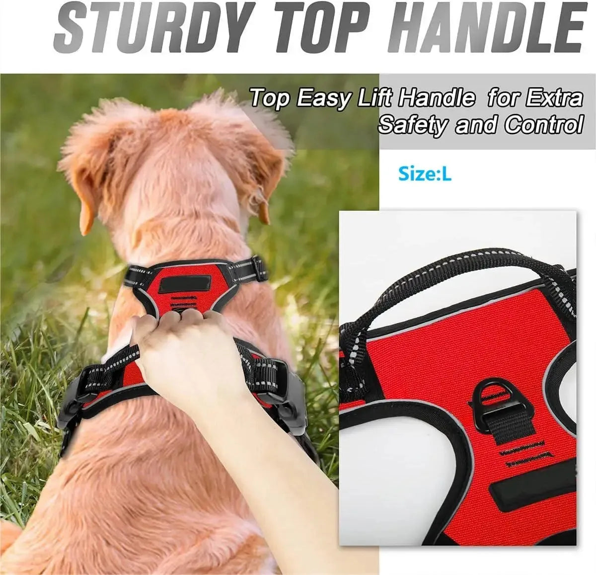 Dog Collars Harness Big Vests Leash Pet Shop Everything for Dogs Leather Puppy Accessories Medium Small Set - MeLife GloBazzar